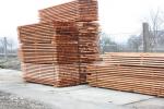 Eglė Statybos / statybinė mediena | Minkšta mediena | Mediena | MP-HOLZ, s.r.o.