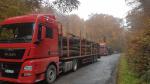 Miškavežis - Transportavimas ir gabenimas