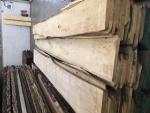 Liepa Staliaus apdirbama mediena |  Kietoji mediena | Mediena | JAF HOLZ Slovakia