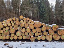 Kėnis Pjaustomi rąstai | Minkšta mediena | Rąstai | ALBA Forrest s.r.o.