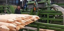 Kita įranga Kompletn výroní Linka kulů . |  Lentpjūvės mašinos | Medžio apdirbimo mašinos | Drekos Made s.r.o