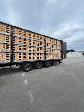 Padėklai Vienkartiniai padėklai |  Pakuotė, padėklai | Woodproo s.r.o.