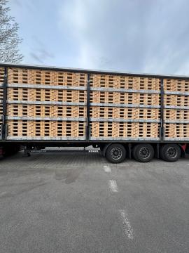 Padėklai Vienkartiniai padėklai |  Pakuotė, padėklai | Woodproo s.r.o.