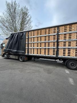Padėklai Vienkartiniai padėklai |  Pakuotė, padėklai | Woodproo s.r.o.