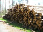 Beržas Medienos masė |  Kietoji mediena | Rąstai | Закупка ООО