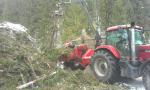 Kita įranga Eschelbock Bieber 70, Case 255 |  Miškų ūkio mašinos | Medžio apdirbimo mašinos | ŠULEK FOREST, s. r. o.