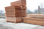 Eglė Statybos / statybinė mediena |  Minkšta mediena | Mediena | MP-HOLZ, s.r.o.