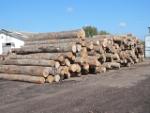 Bukas   |  Kietoji mediena | Rąstai | LKW-Brennholz