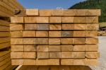 Eglė Staliaus apdirbama mediena |  Minkšta mediena | Mediena | DEMO