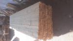 Eglė Statybos / statybinė mediena |  Minkšta mediena | Mediena | Ivan Tadian Drevinka