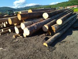 Eglė Pjaustomi rąstai |  Minkšta mediena | Rąstai | Peter Haladej 