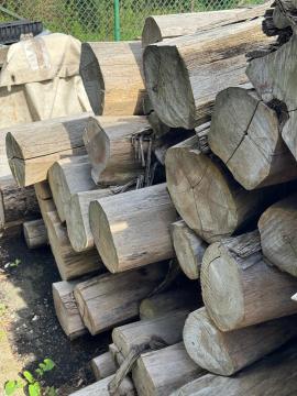 Tikmedis Pjaustomi rąstai |  Tropinė mediena | Rąstai | SOFT IT SP .ZO.O SPÓŁKA Z OGRANICZONĄ ODPO