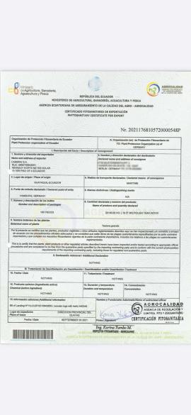 Tikmedis Pjaustomi rąstai |  Tropinė mediena | Rąstai | SOFT IT SP .ZO.O SPÓŁKA Z OGRANICZONĄ ODPO